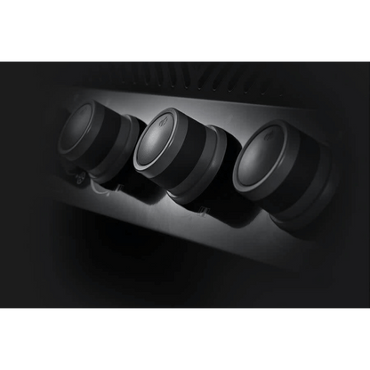 GRILLDEN™ rogue® xt 525 sib napoleon